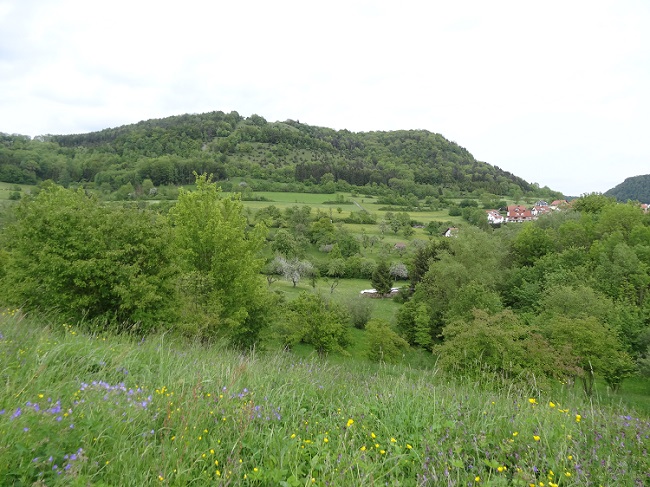 Grüne Hügel im Landkreis Göppingen – Schwäbische Alb
